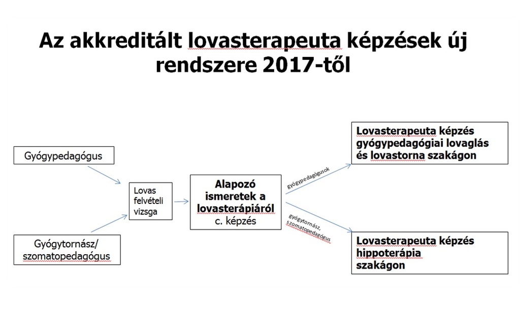 Lovasterapeuta_kepzesi_rendszer-2017.jpg