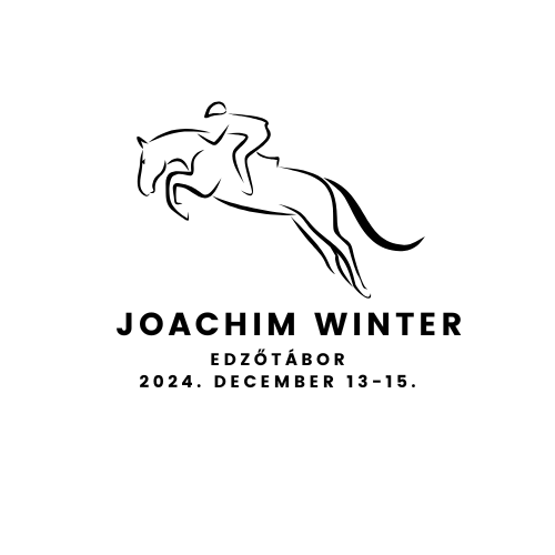 Black Modern Abstract Horse Riding Training Design Logo(1).png