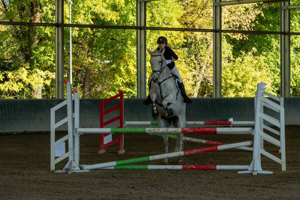 DSC_0575-resized-imageresizer.dev.jpg
